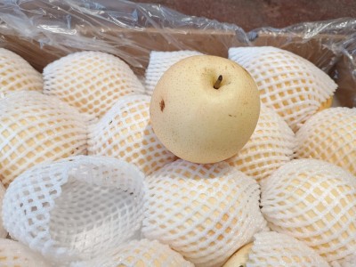 Foto Pere Nashi Calibro 16 Origine Cina Marchio Crown Pear 2